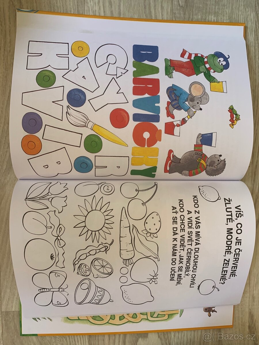 Abeceda chytrých dětí - Edita Plicková, Marie Tetourová - 2