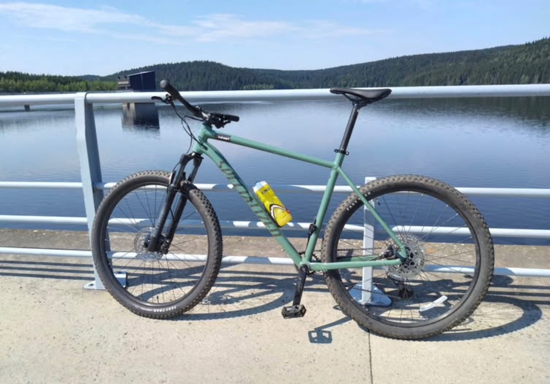 Specialized Rockhopper Elite 29 - 2