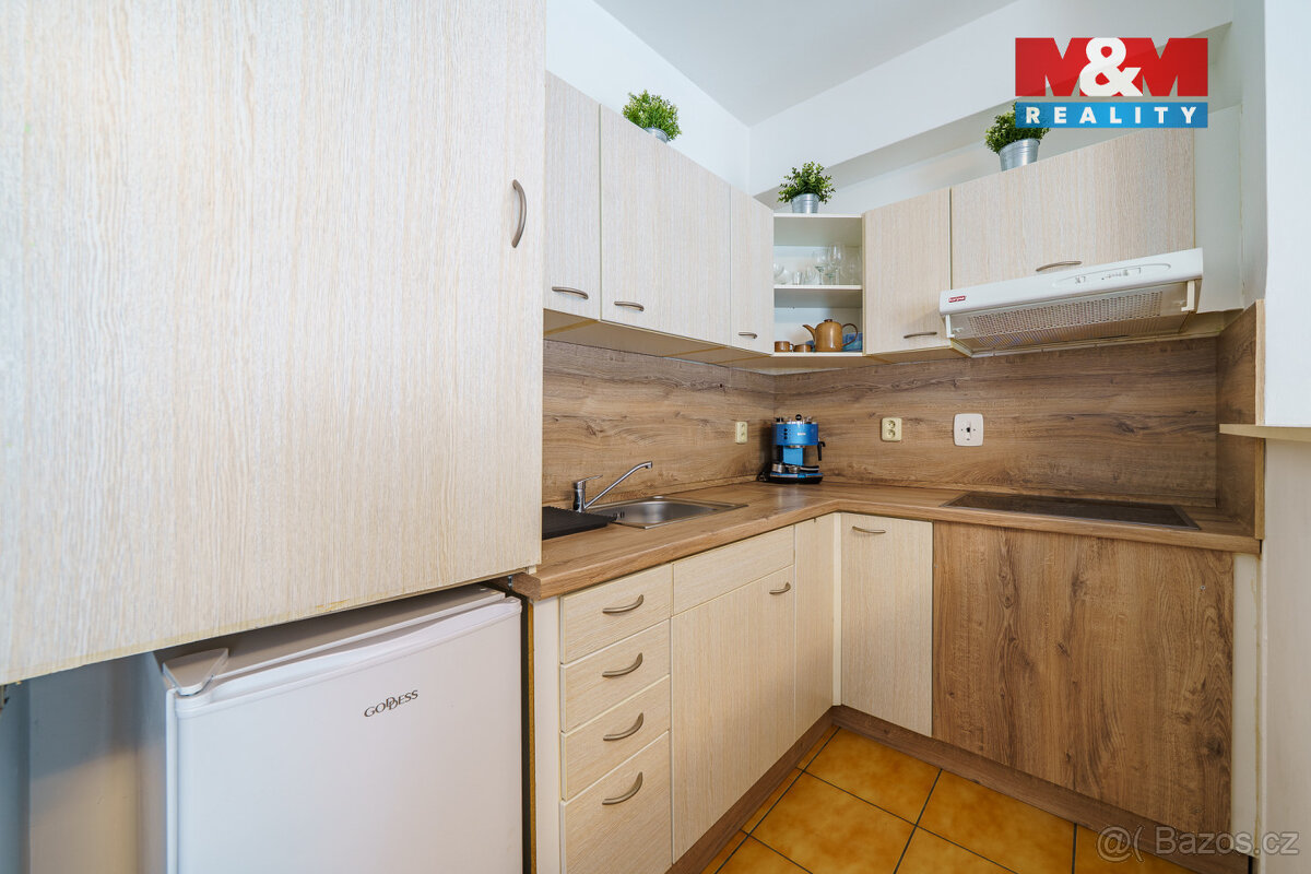 Prodej bytu 1+kk, 36 m², Jáchymov, ul. K Lanovce - 2