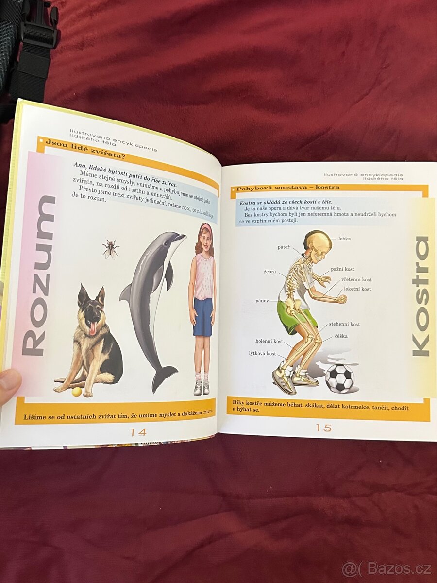 Dětská ilustrovaná encyklopedie – Lidské tělo - 2