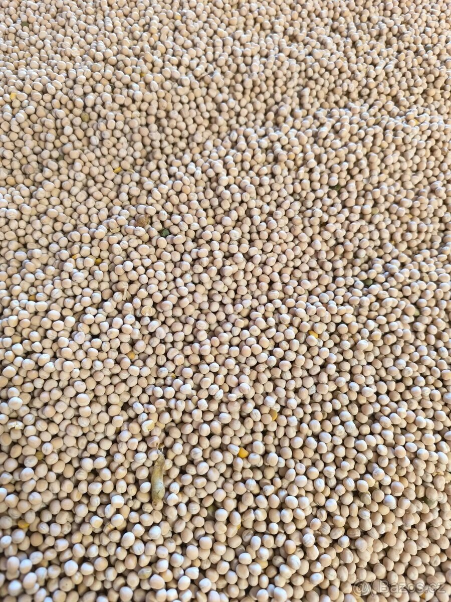 Hrách žlutý čištěný - 2