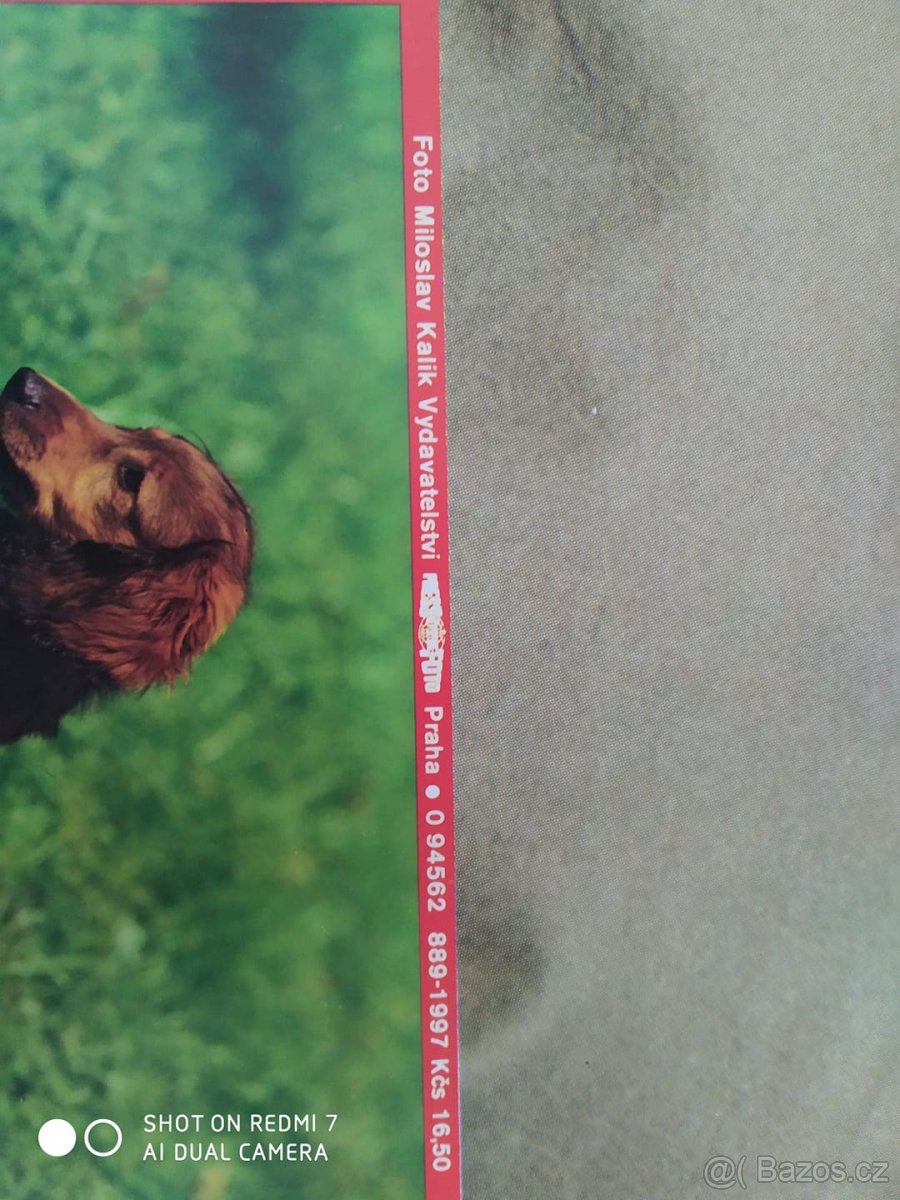 Originál nástěnné plakáty z 80. let 20. století - Psi, Kočky - 2