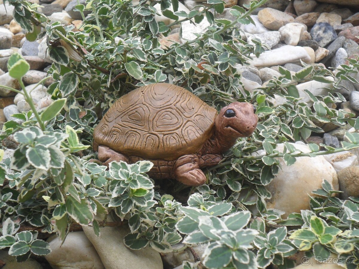 Zahradní dekorace - želvička, želva malá - 2