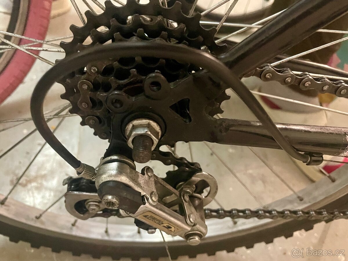 Kolo junior ‘24’ - 2