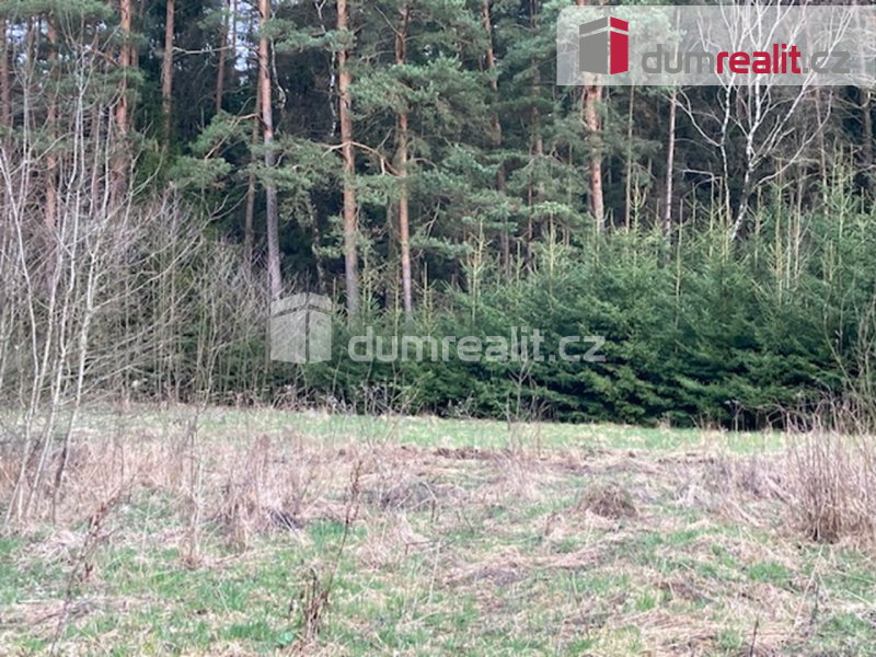 Prodej podílu 2/3 lesního pozemku, 69300 m2, Sepekov - 2
