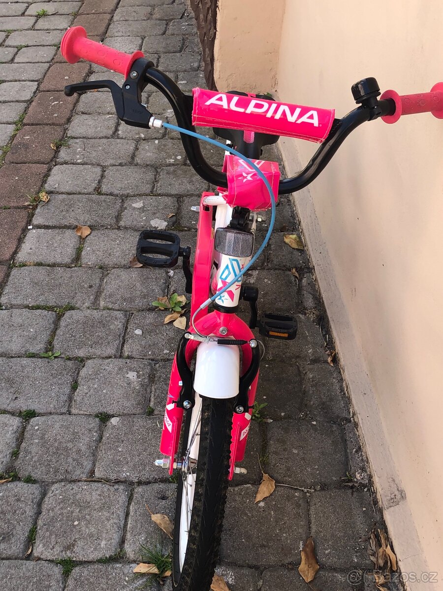 Alpina Starter 16" - 2