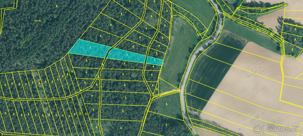 Prodej lesa Brusy 4909m2 - 2