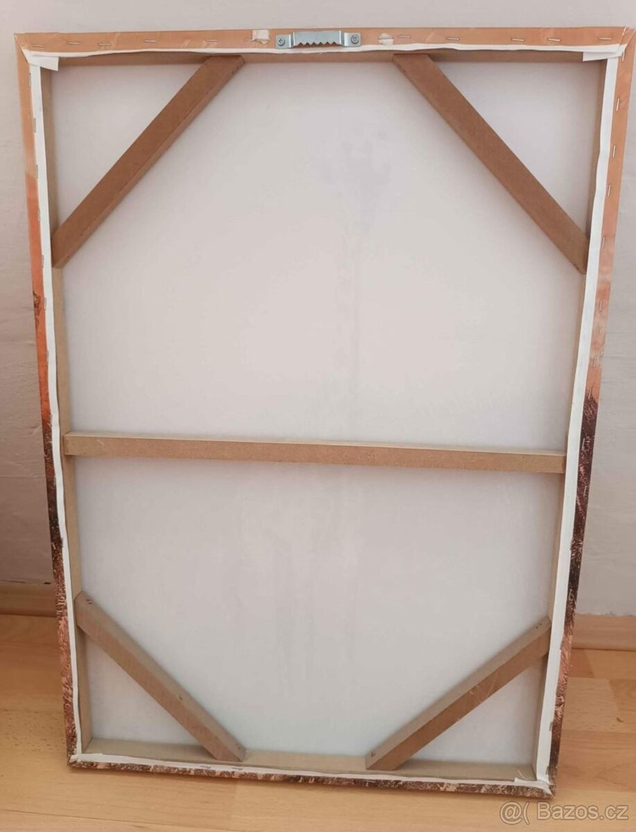 Prodám tištěný obraz - žirafa - 2