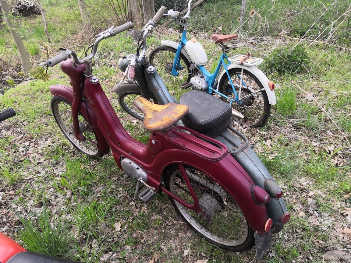 Jawetta standard 551 - 2