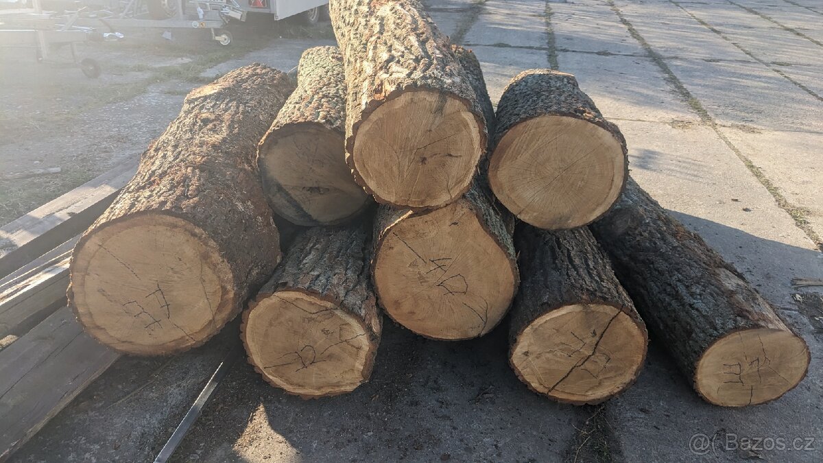 Kopím tvrdé palivové dřevo - 2