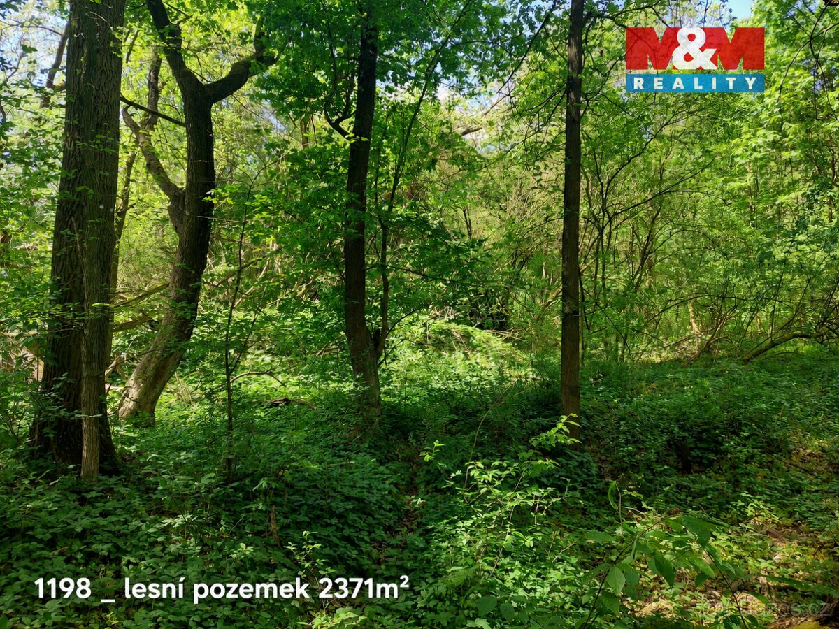 Prodej pozemku, 151762 m², Pňov-Předhradí – pohled 2