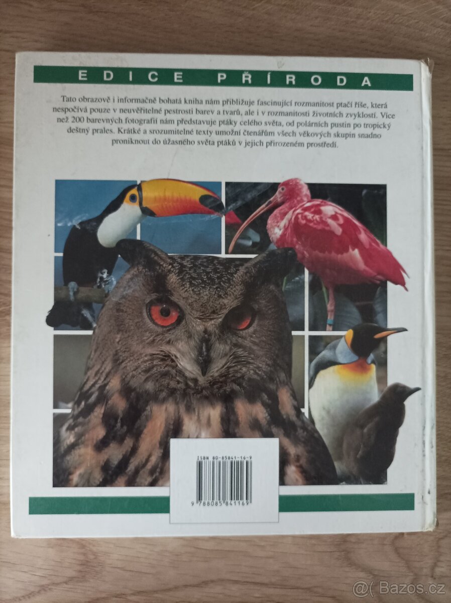 Ptáci / Alderton - 2