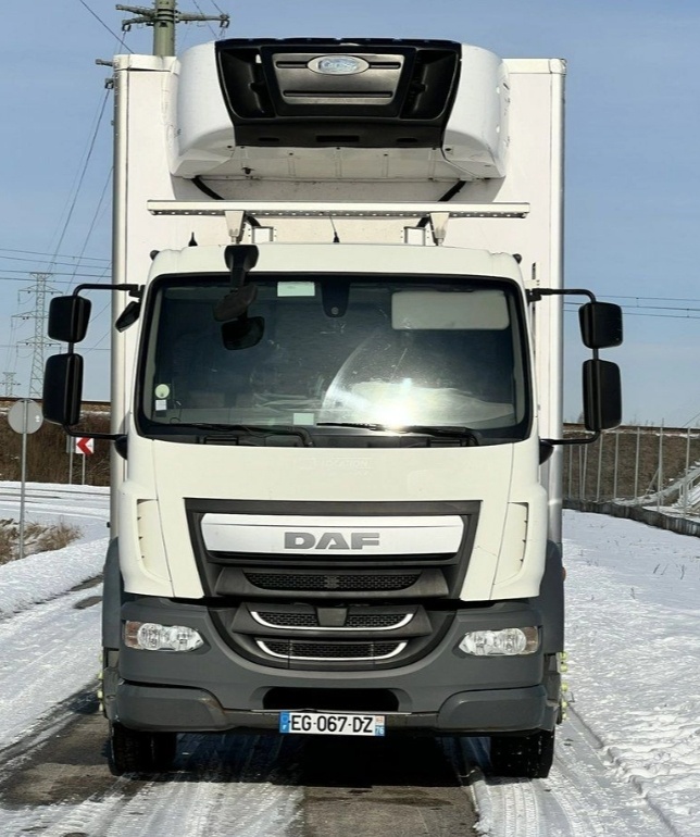 DAF LF 310 - 4x2 – Mrazák – EURO 6 - 2