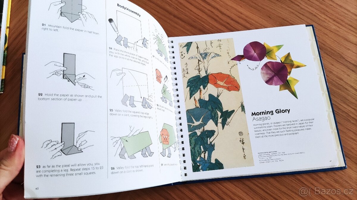 Origami - Steve & Megumi Biddle - 2