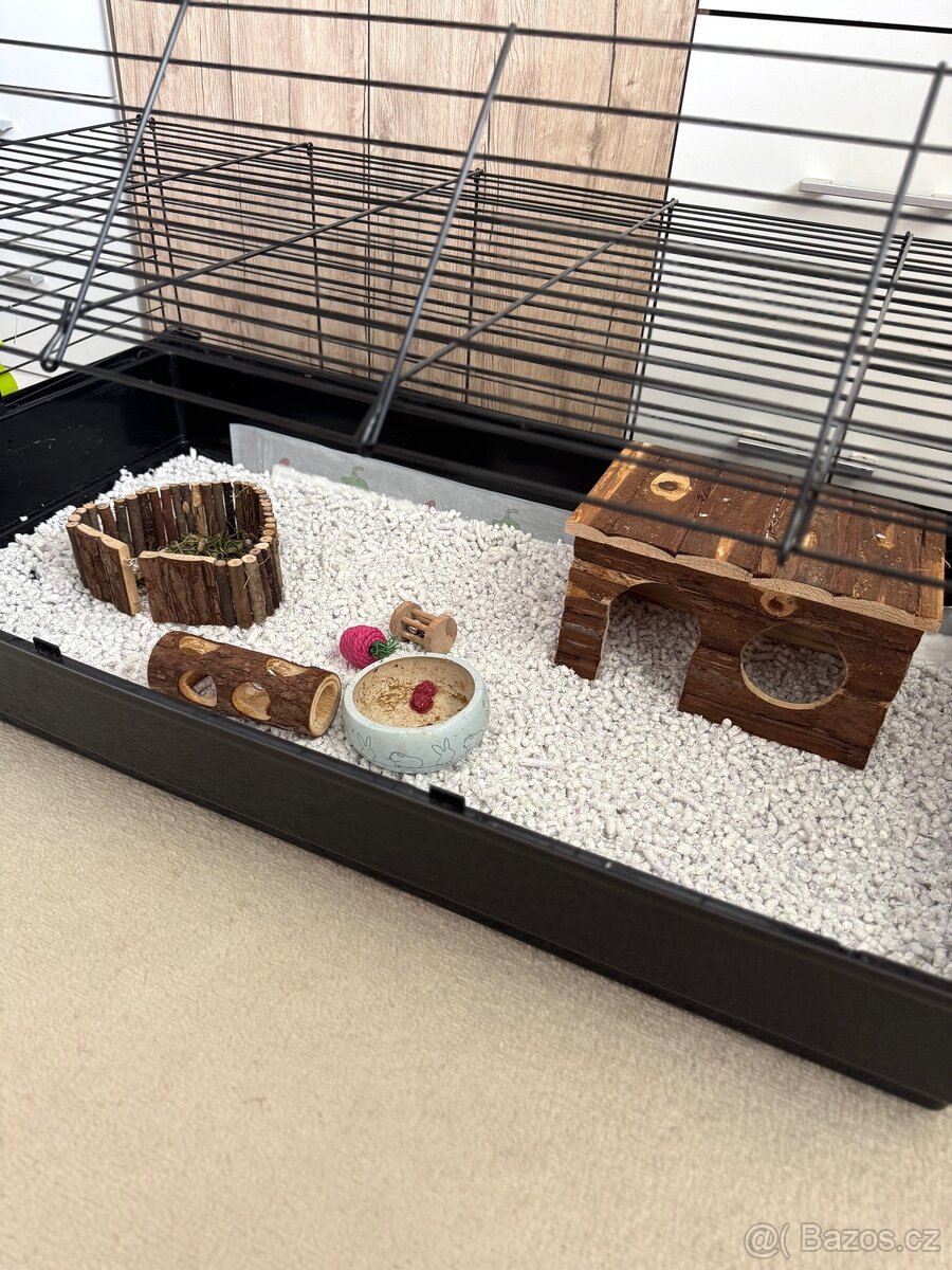 Prodám morčátko - 2