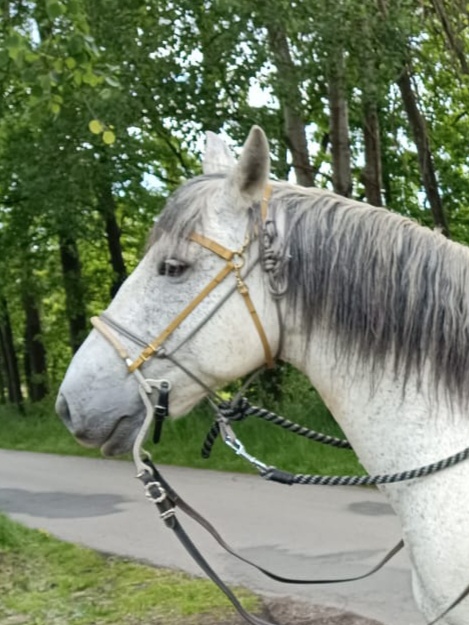 Biothane uzdečka - 2