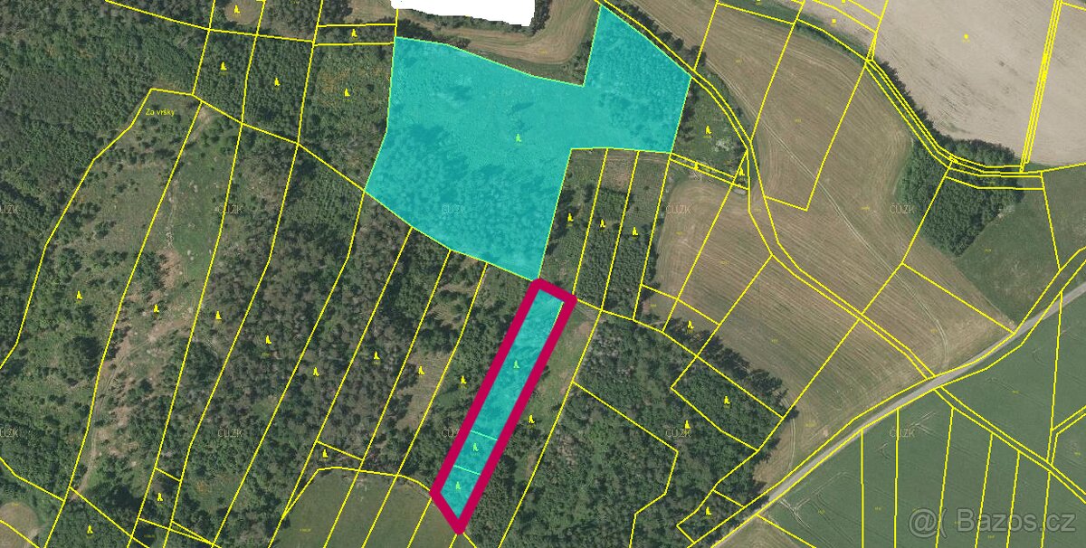 Prodej lesa 3635m2 - 2