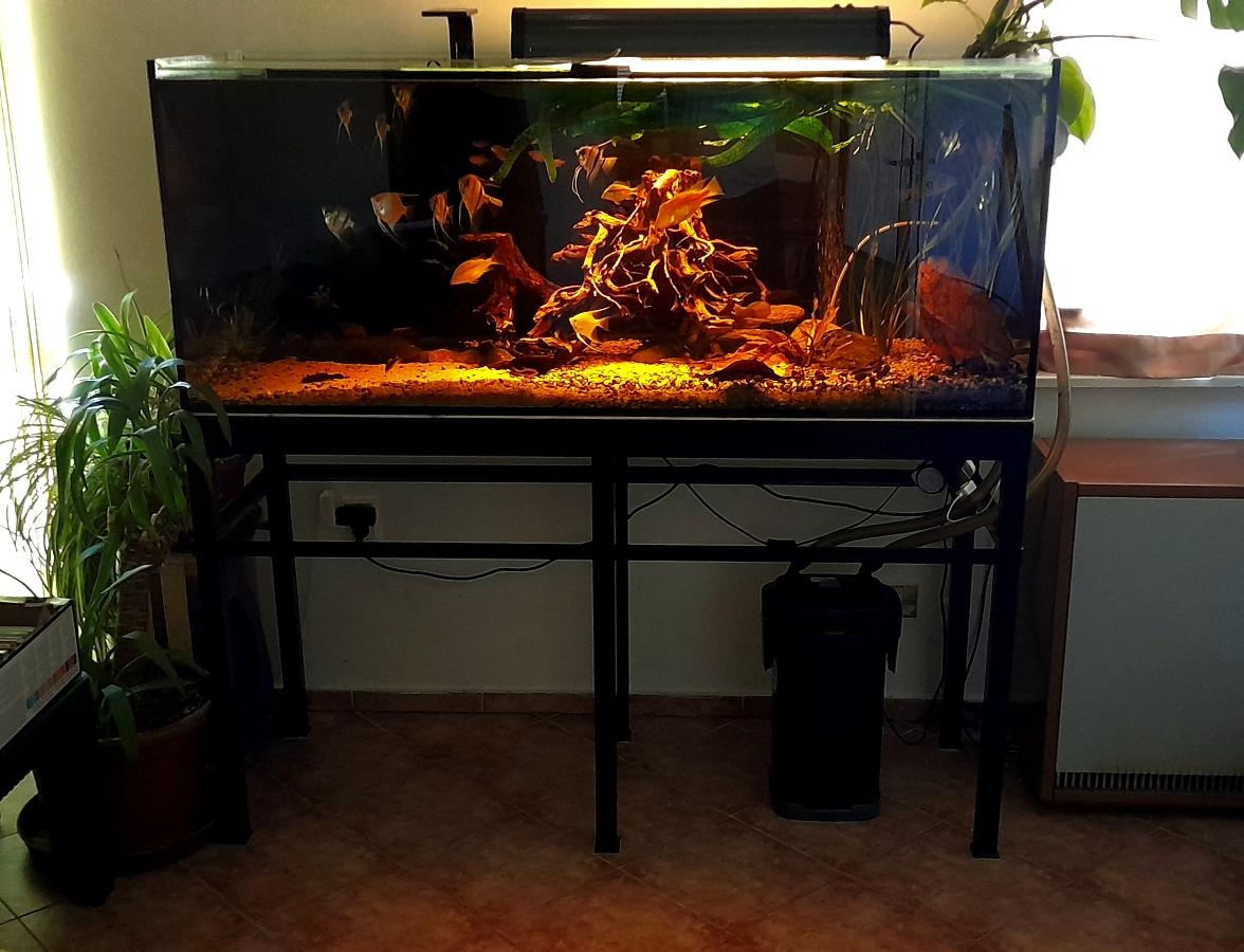 Akvárium 450L - 2