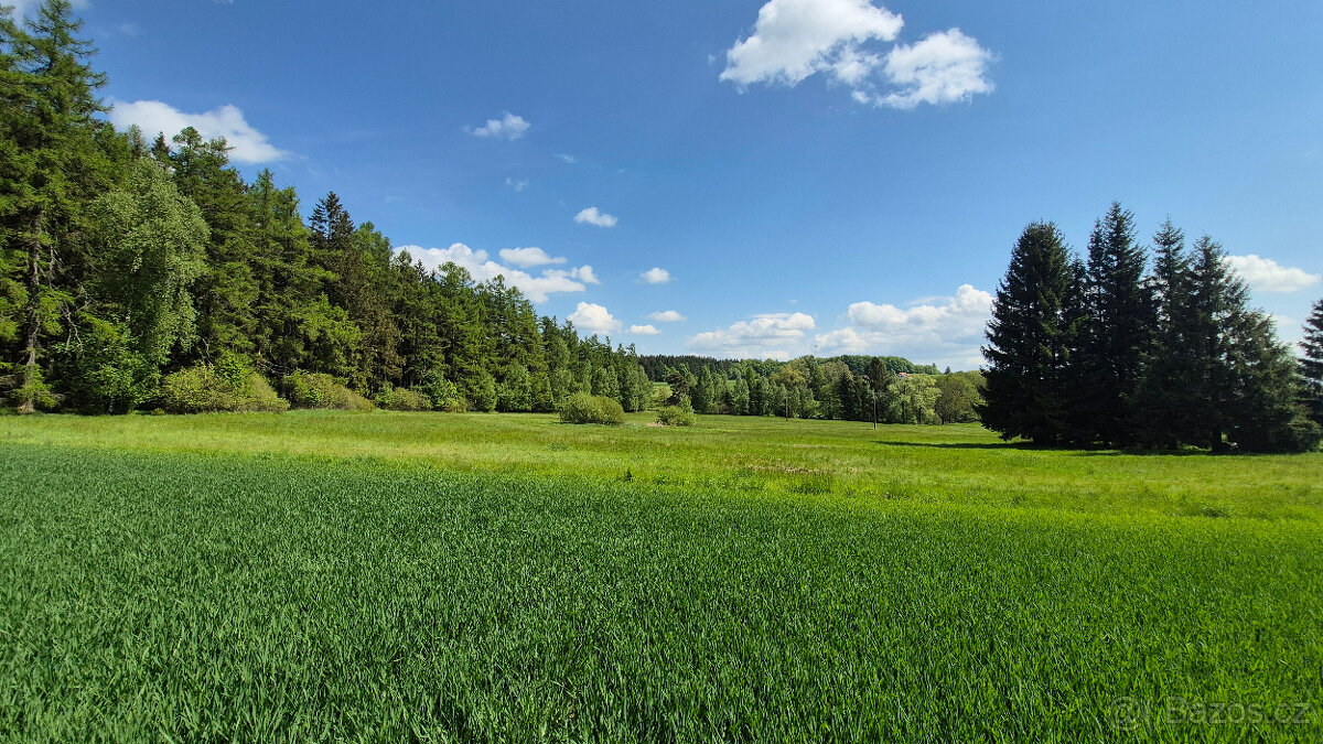 Prodej pozemku 5776 m2 v Borové u Poličky, okr. Svitavy - 2