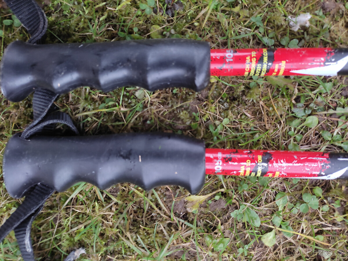 Sjezdové hůlky Atomic - 2