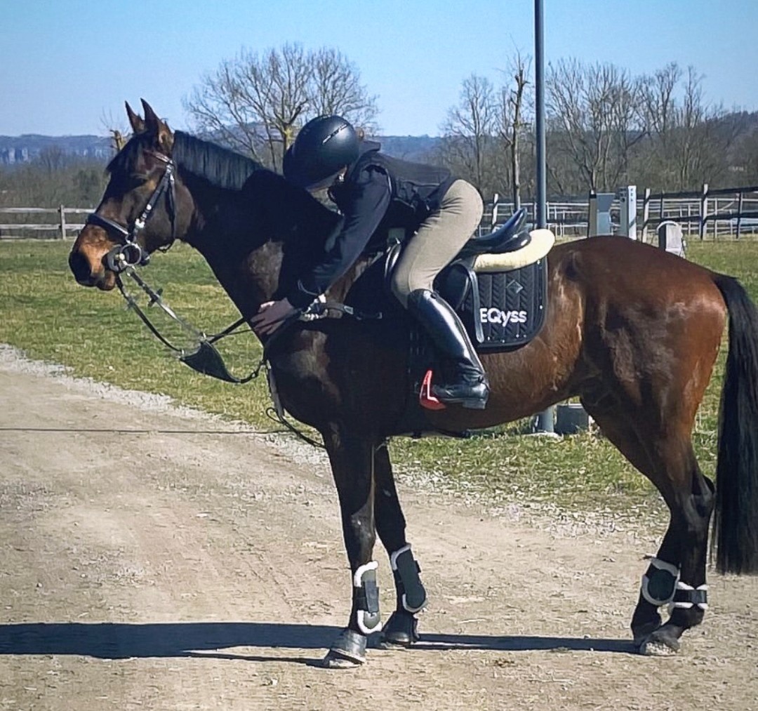 Moc hodný valach na prodej - 2