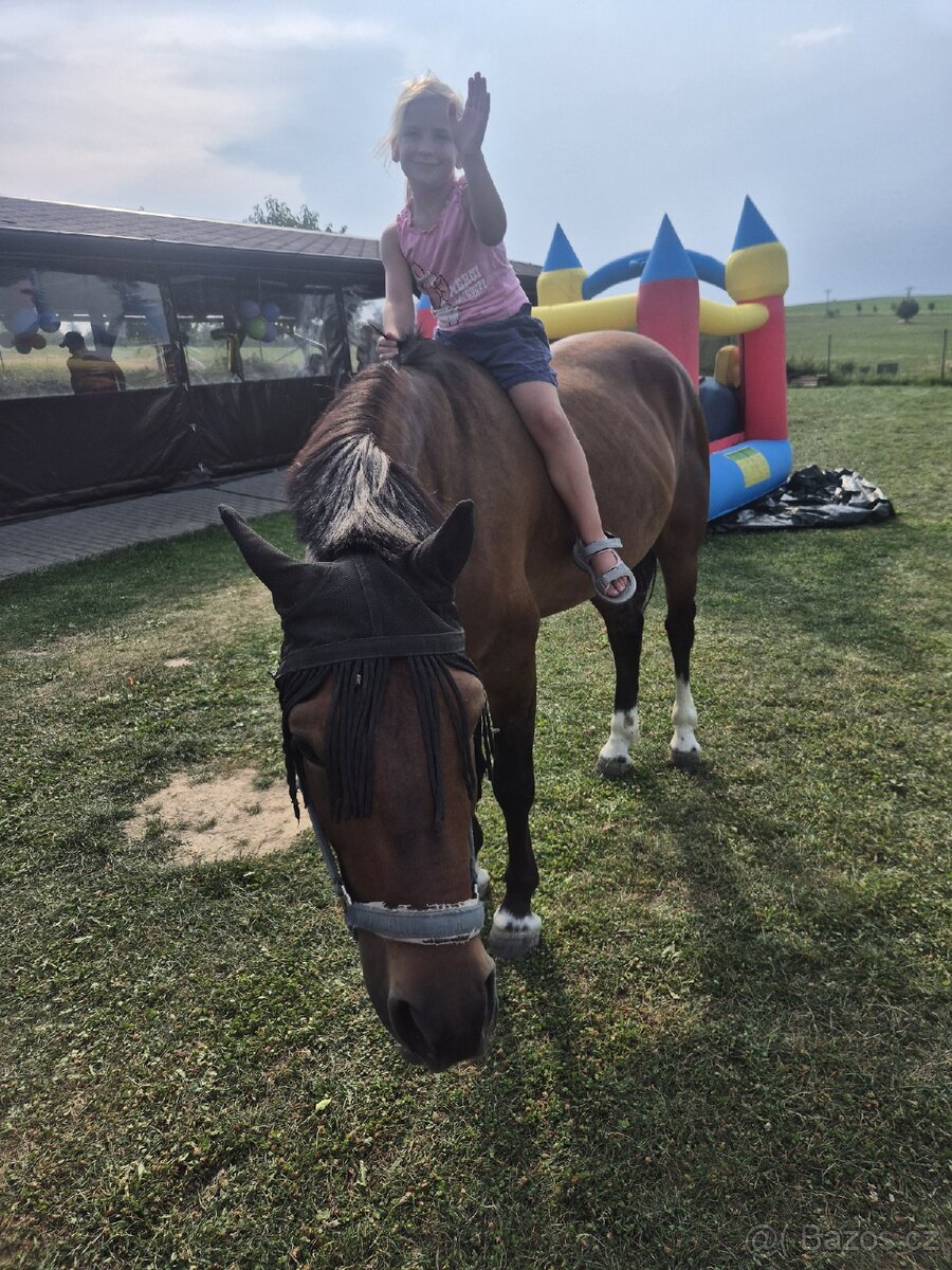 Charakterni valášek - 2