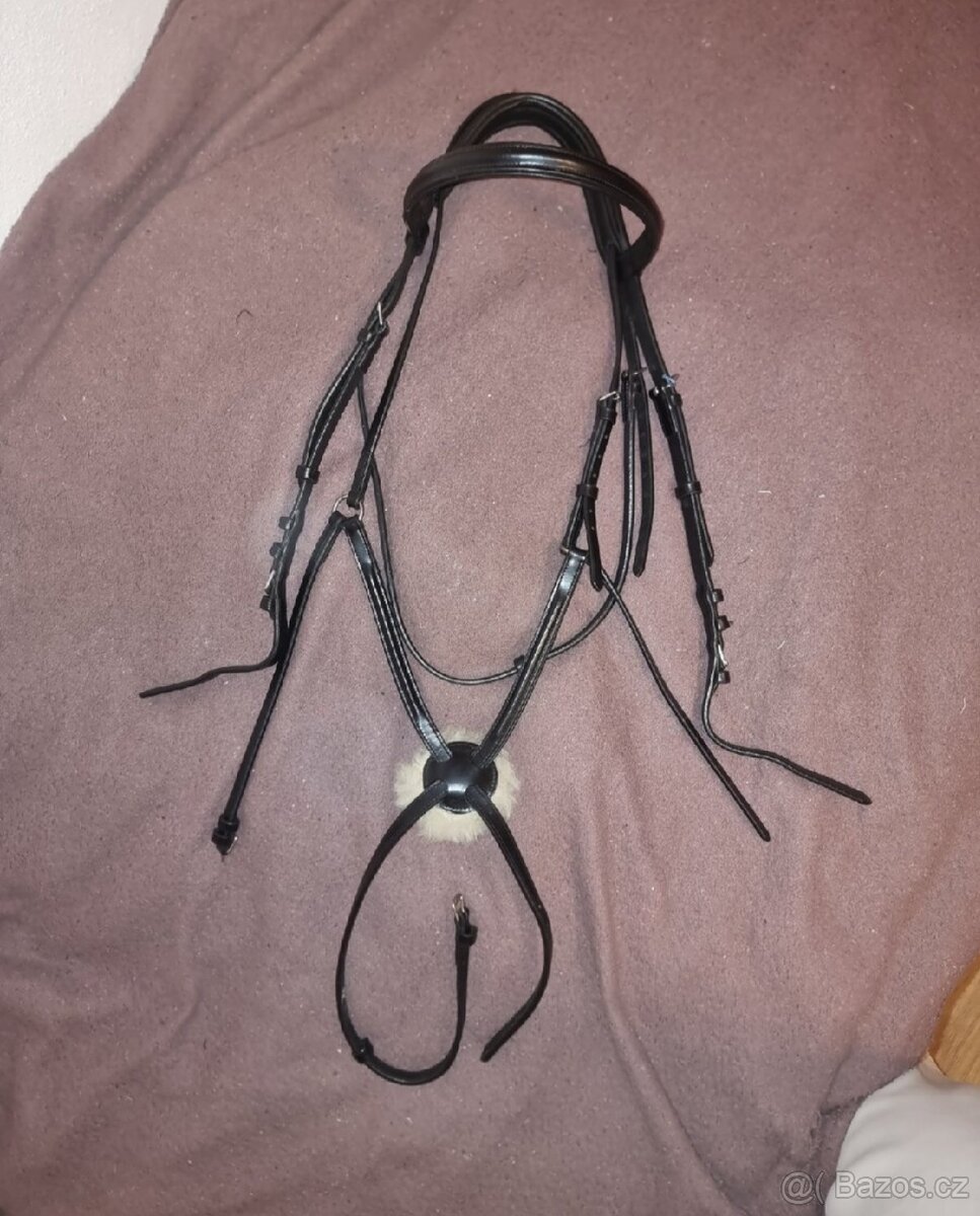 Uzdečka s mexickým nánosníkem - 2