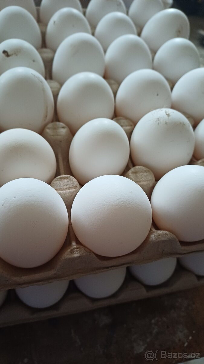 Domácí vajička - 2