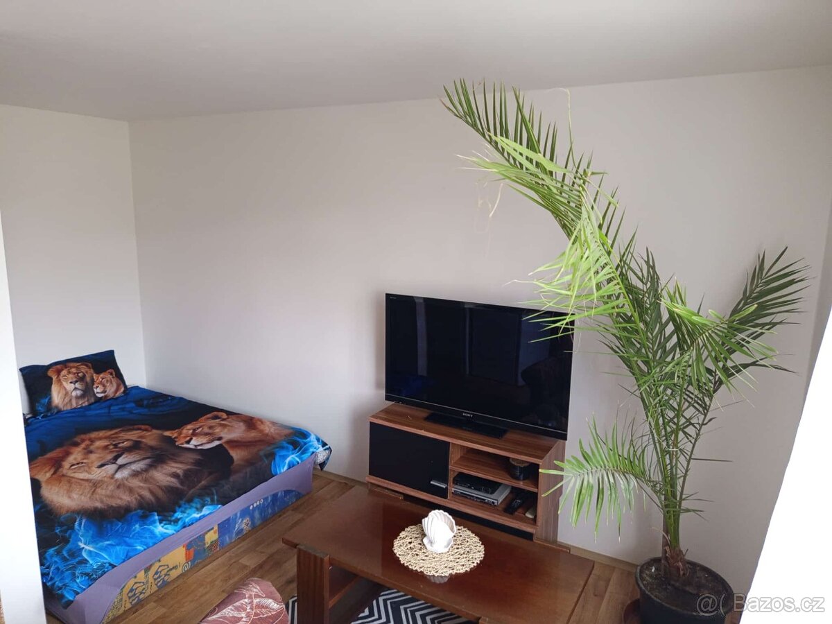 Pronájem garsonky - 2