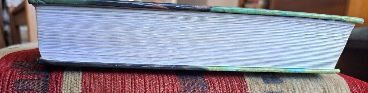 HARRY POTTER a ohnivý pohár - 2