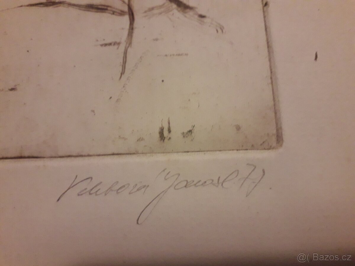 Prodám grafiku Lázníčková-Velebová hezký dárek - 2