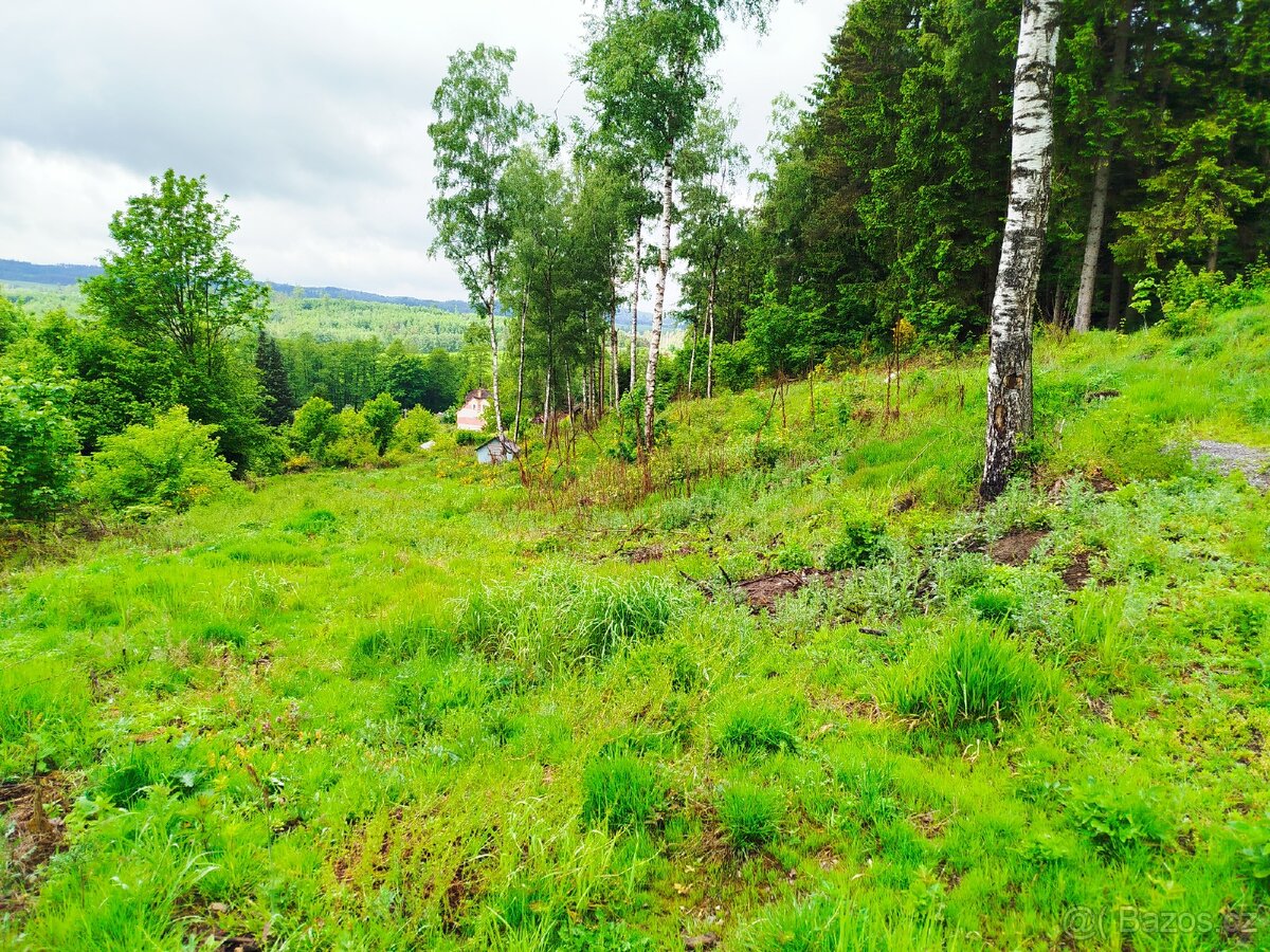 Zahrada zahrádka 723m2 - 2