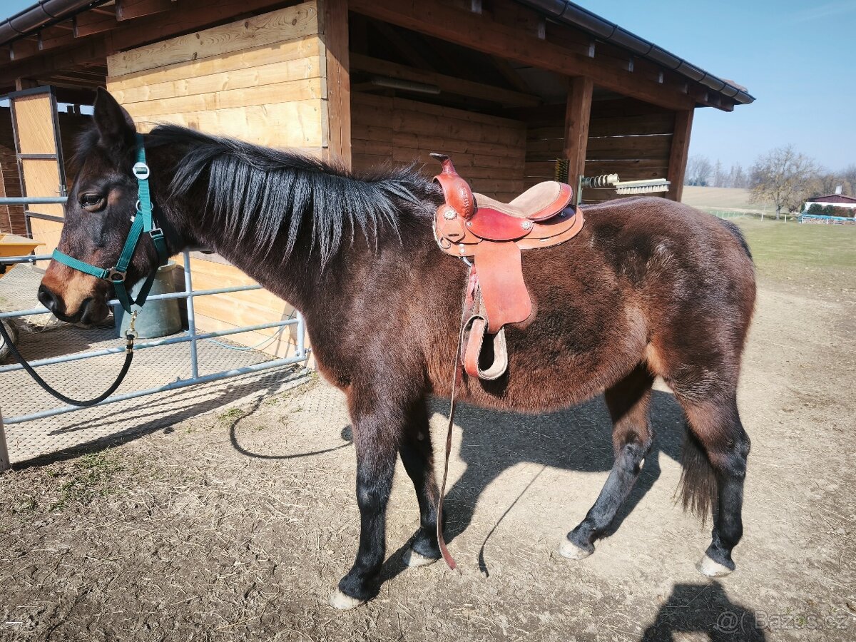 Westernové pony sedlo - 2