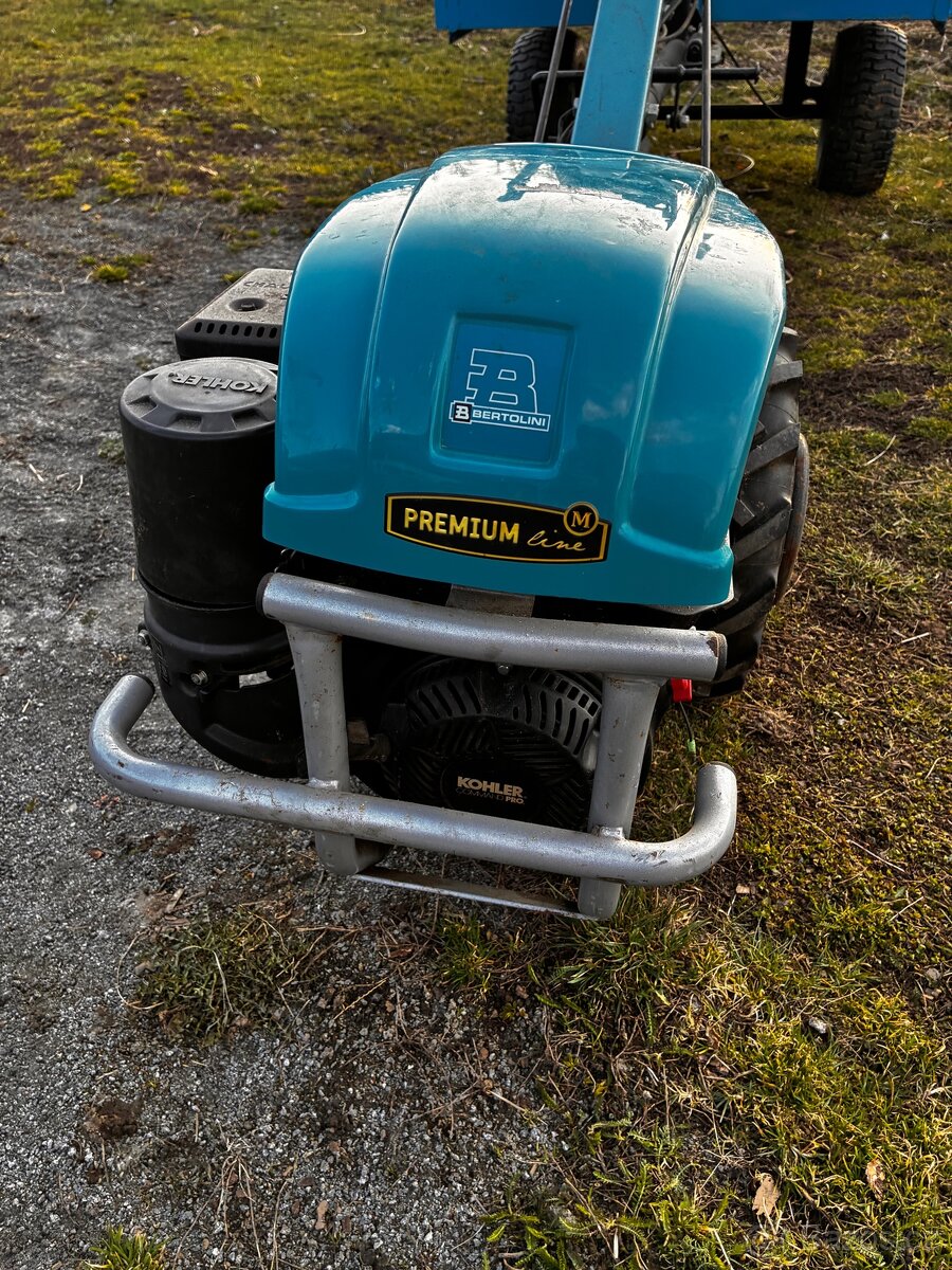 Tera Bertolini 410 - 2