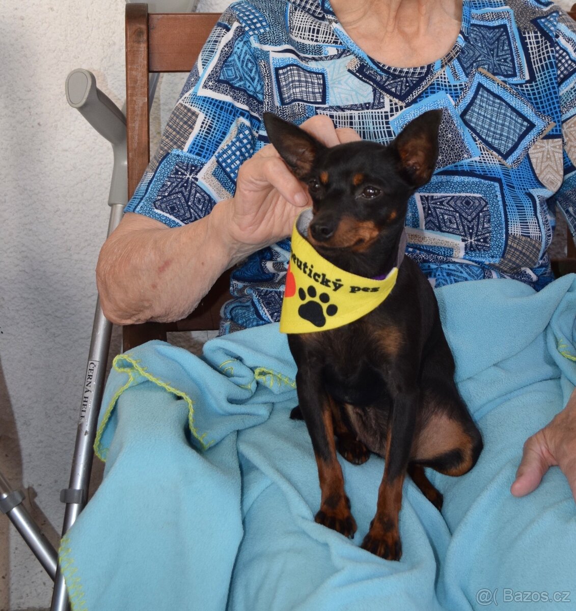 Pražský krysařík - 2