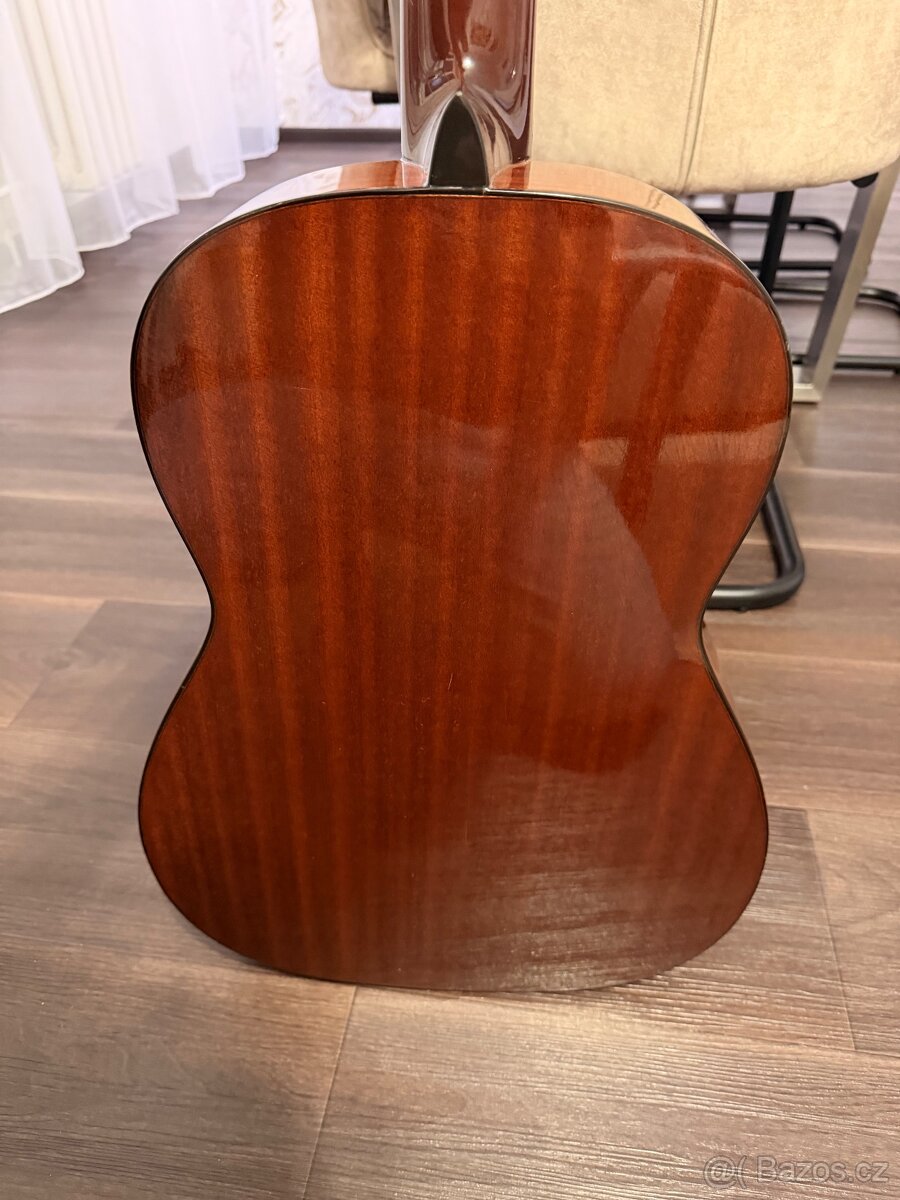 Kytara Höfner - 2