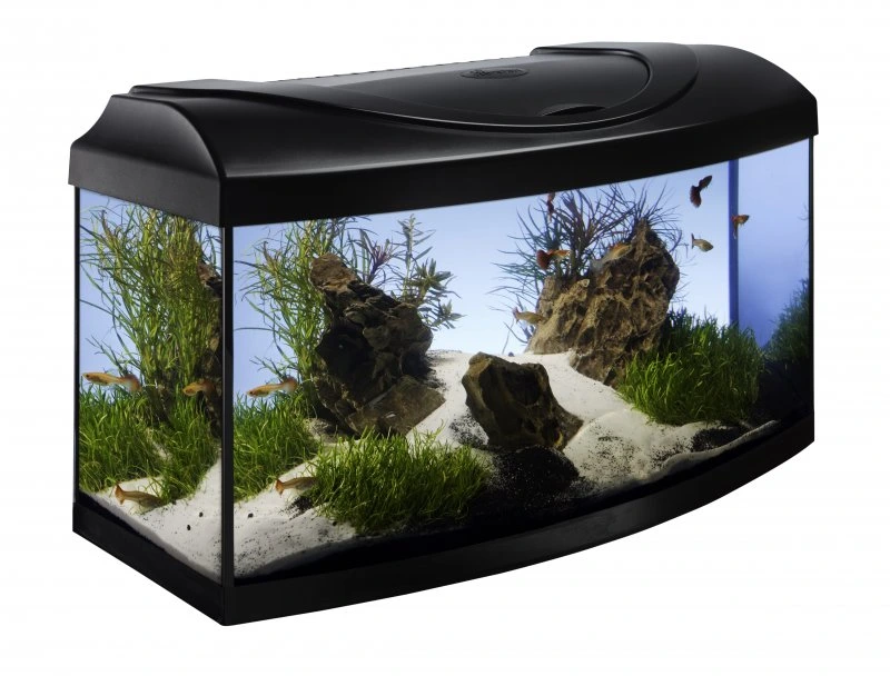 Prodám tyto různé akvária pro rybičky - 2