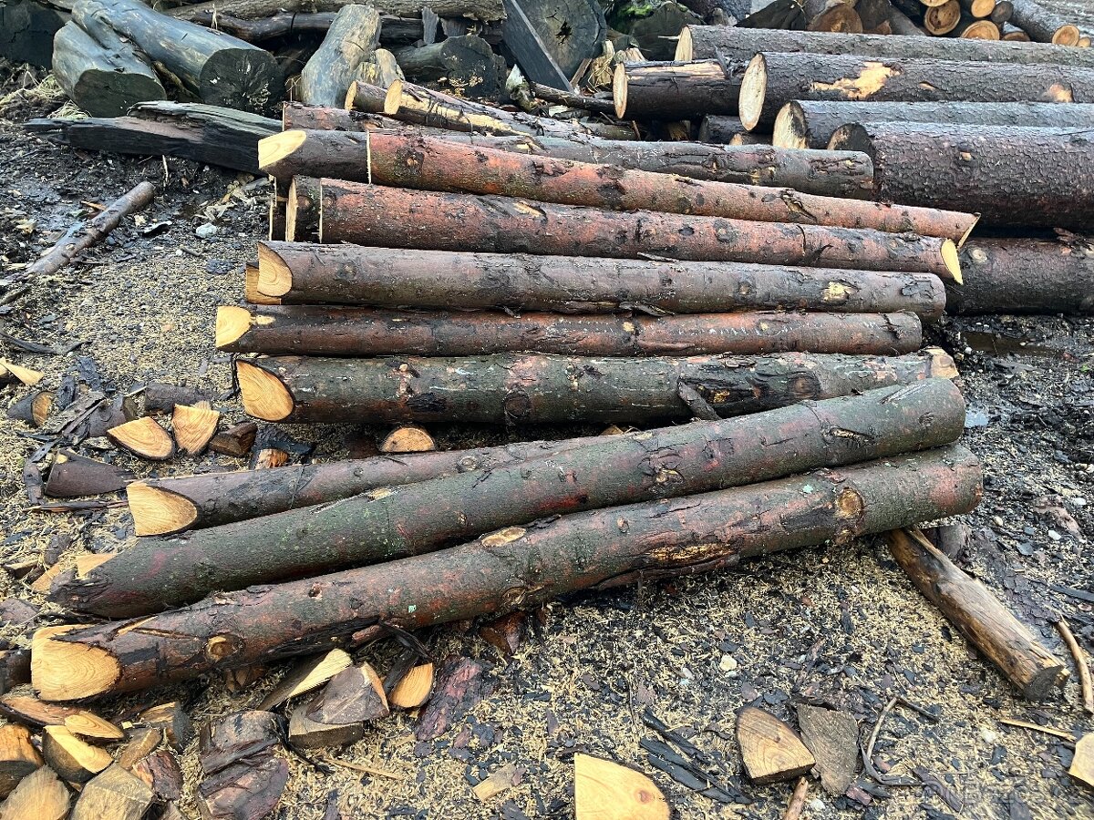 Prodám dřevěné kůly - 2