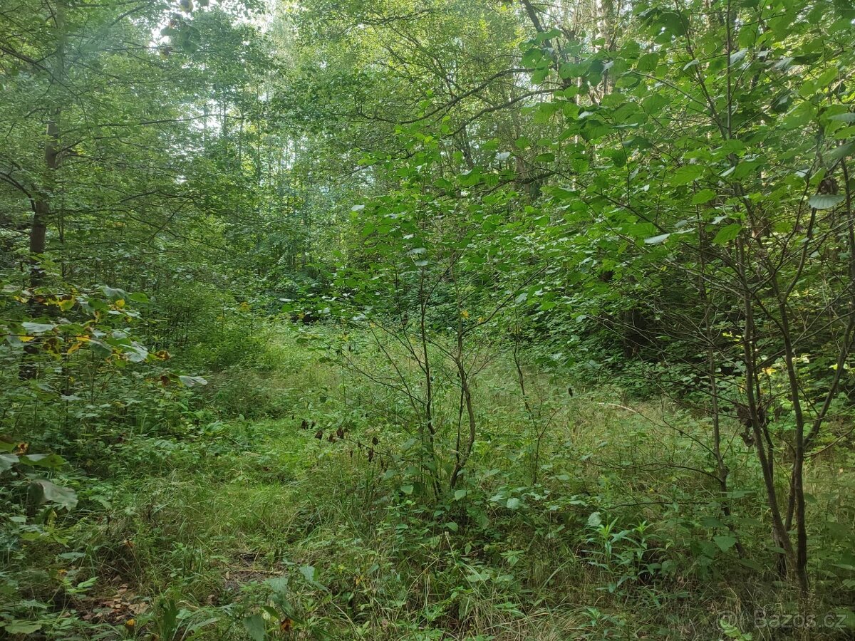 Prodej stavebního pozemku, ul. Karla Čapka, Jeseník. - 2