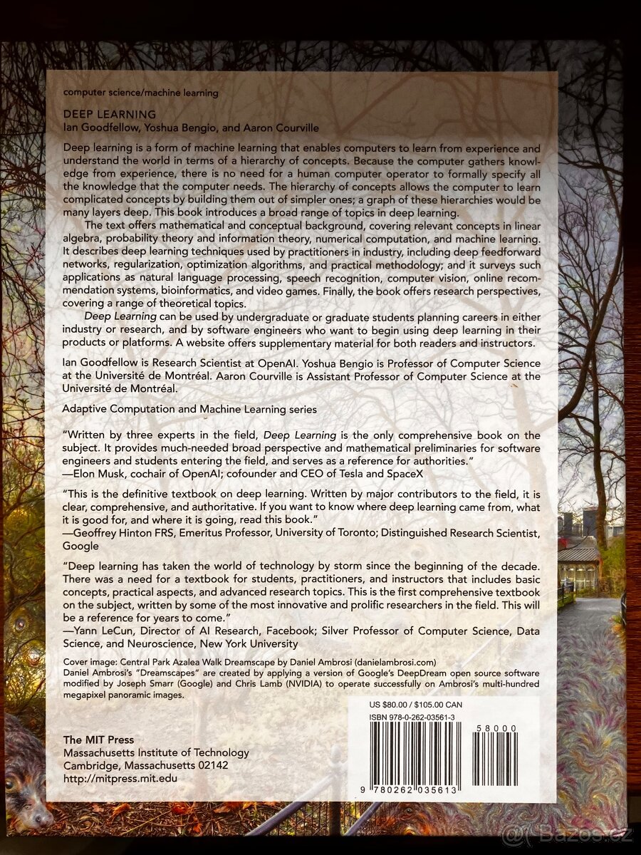 Deep Learning - Goodfellow - 2