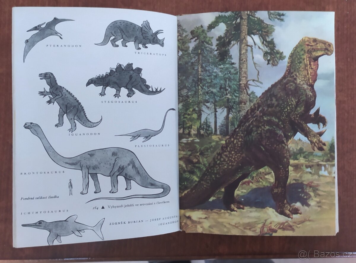 Kniha ZOOLOGIE pro 6 třídu 1963 / i ilustr. Burian / 3x náhl - 2