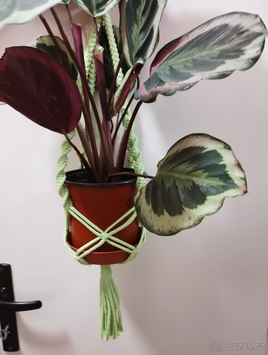 závěs na květináč macramé kroucený zelený/různé barvy - 2