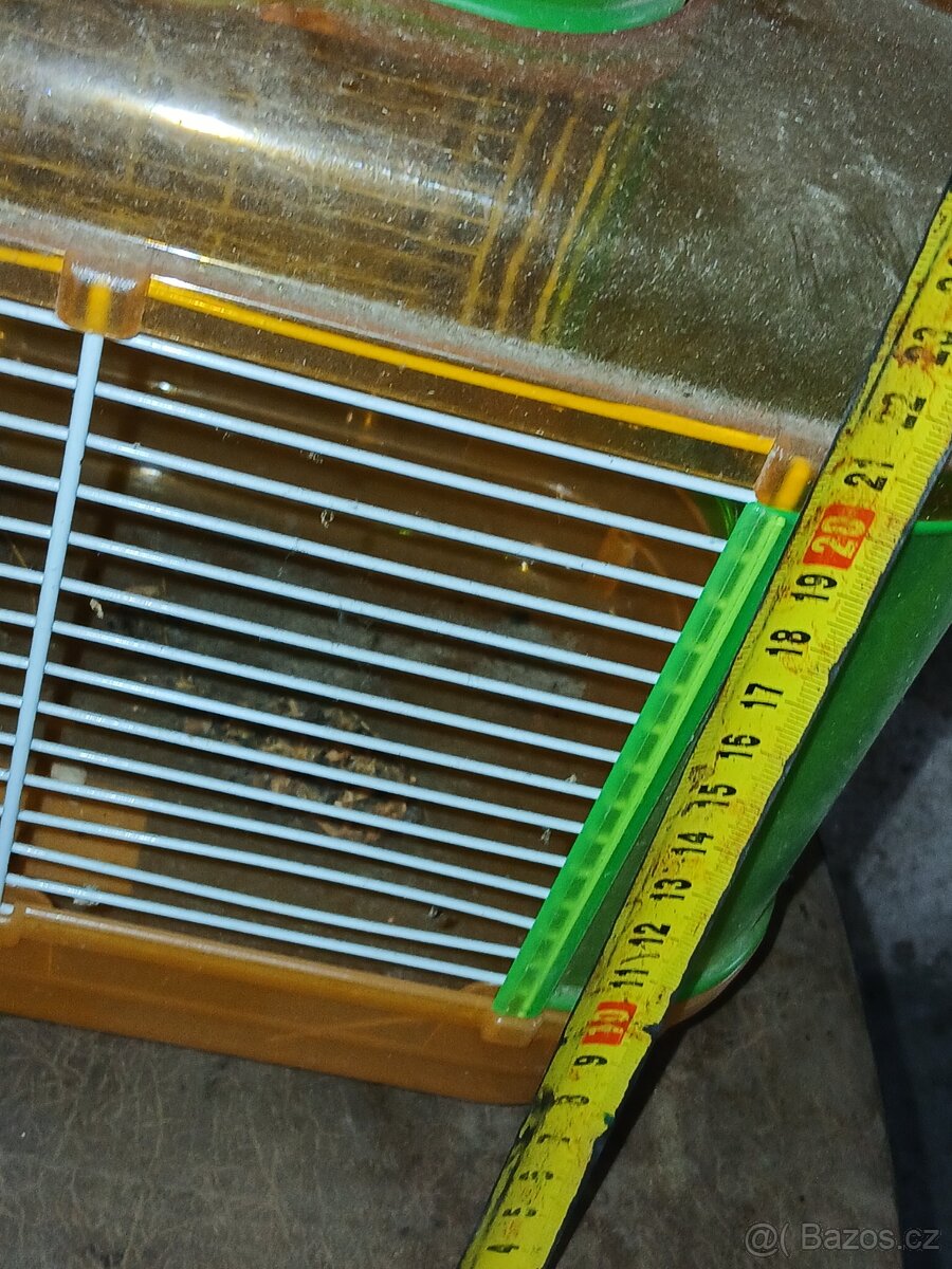 Prodam kkec na krecka/morce - 2