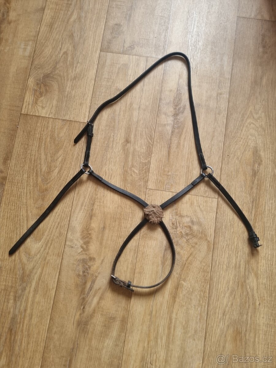 Mexický nánosník - 2