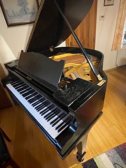 Klavír – křídlo August Förster - 2