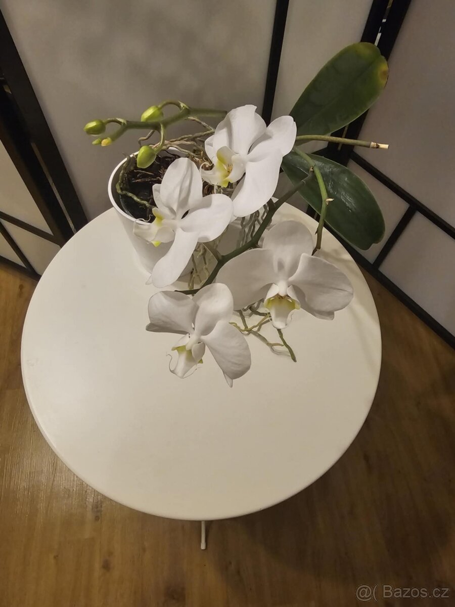 Krásný elegantní stoleček - 2