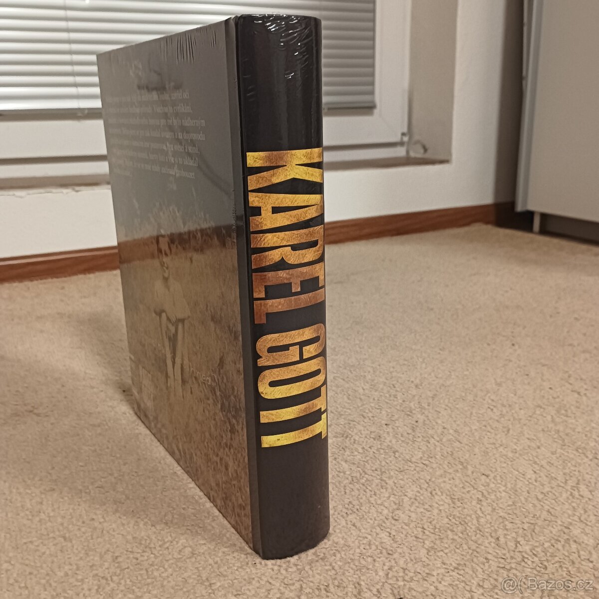 Karel Gott - Má cesta za štěstím - 2