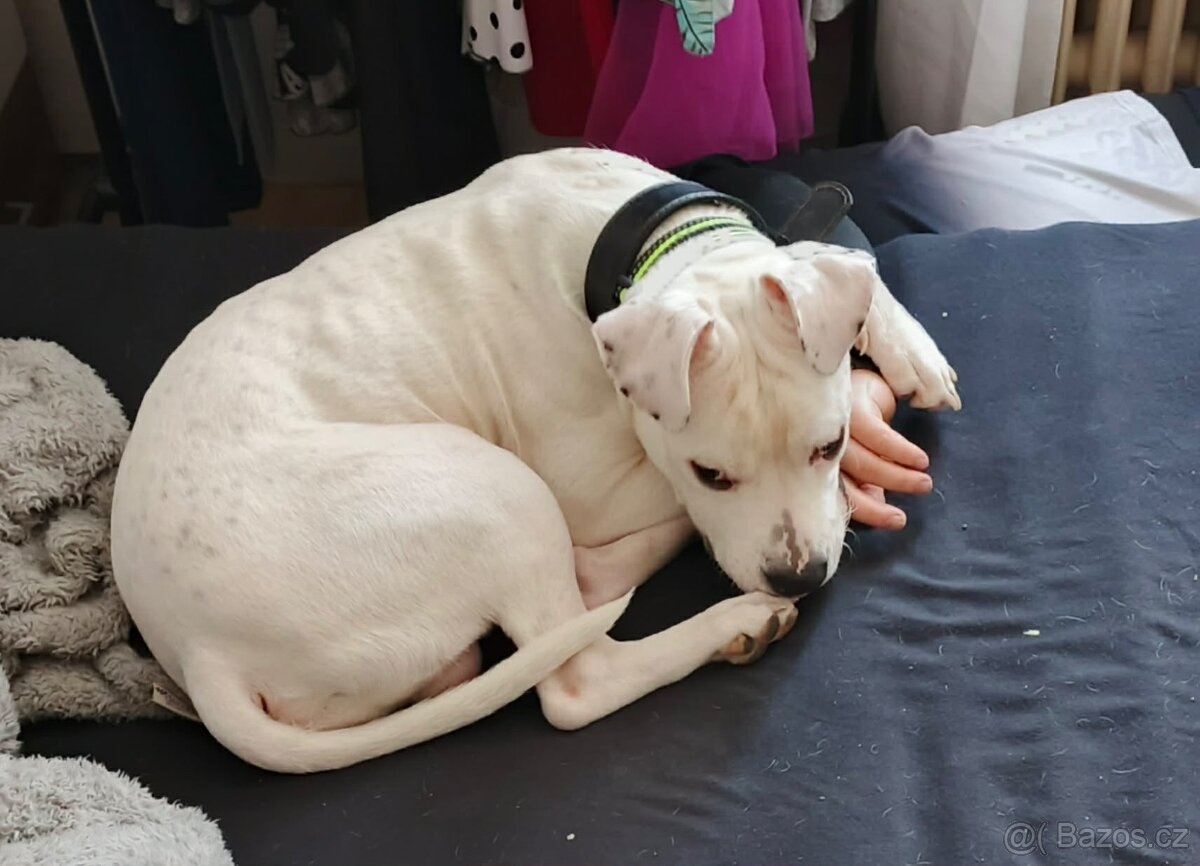 Daruji jen do dobrých rukou - 2