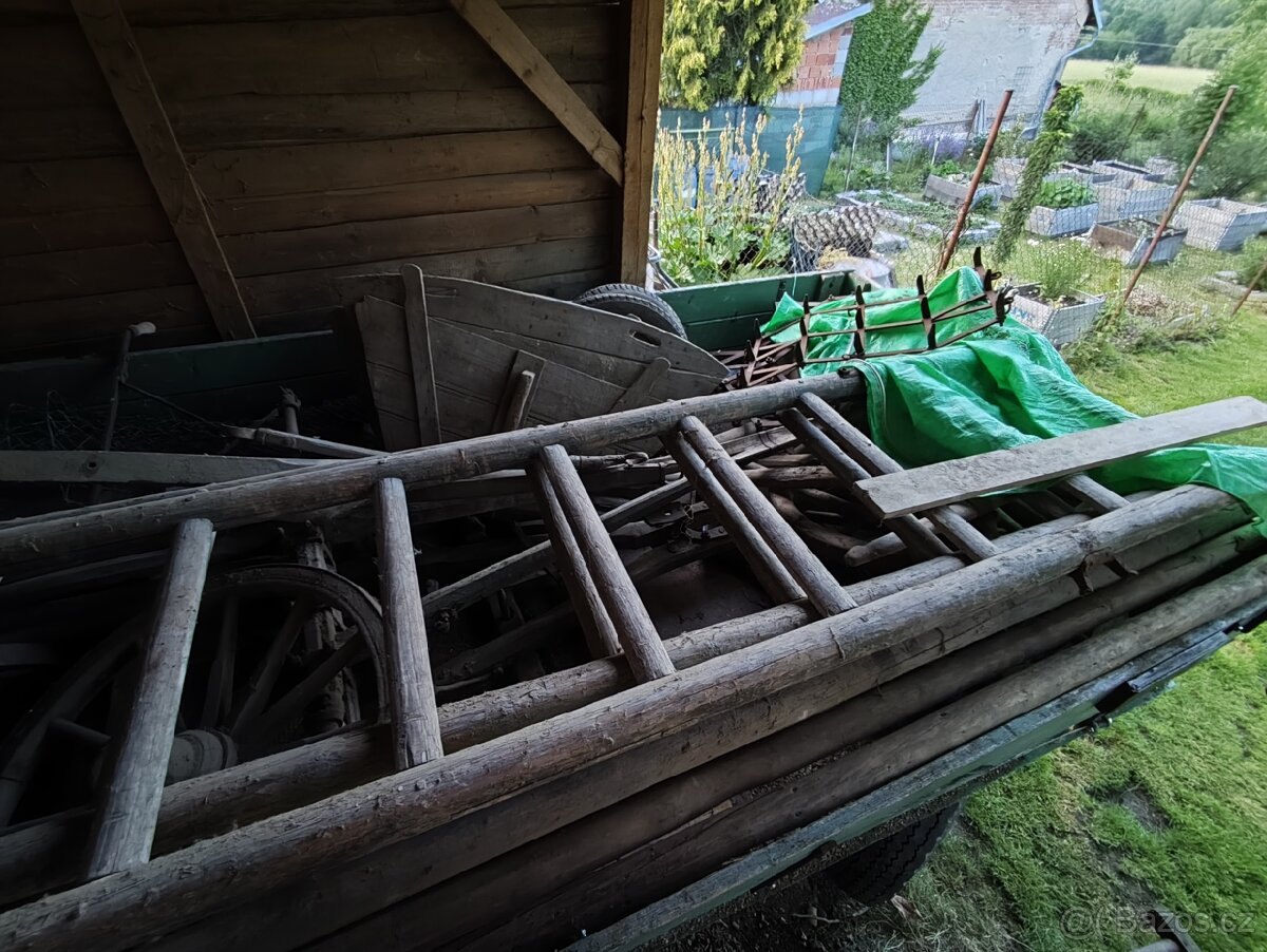 Žebřiňák - 2