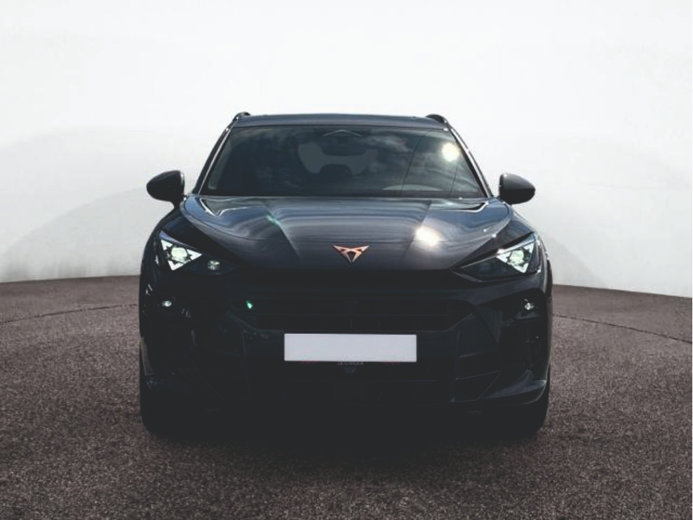 Cupra Terramar VZ 2,0 TSI 4Drive DSG - 2